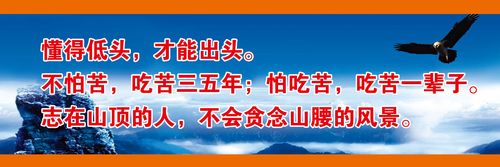 手机上的本地文件在哪安博体育里(手机中的本地文件在哪里打开)